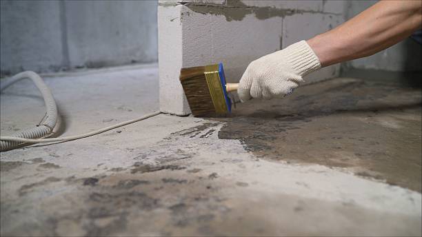 Top rated local Crawl Space Encapsulation specialists in Hasbrouck Heights, NJ